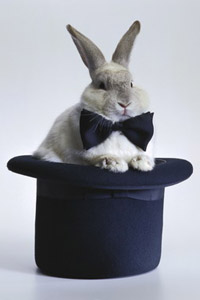 Аватарка вконтакте смешной кролик в черной шляпе, фокусы, скачать картинку бесплатно.