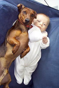 Картинка в контакте малыш с собакой таксой лежат рядом, скачать аватарку бесплатно.