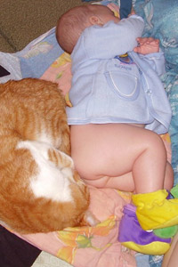 Аватарка в контакте спящий малыш младенец, большой толстый рыжий кот, скачать аватарку.