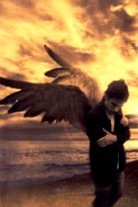 Падший ангел, холодное море, тёмные крылья падшего ангела на аватарке.